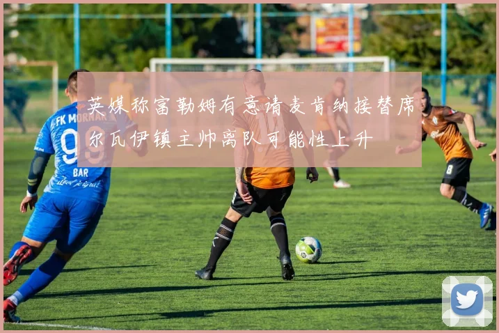 英媒称富勒姆有意请麦肯纳接替席尔瓦伊镇主帅离队可能性上升