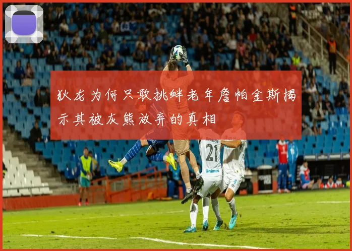 狄龙为何只敢挑衅老年詹帕金斯揭示其被灰熊放弃的真相