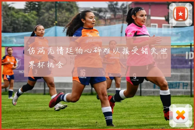伤病无情廷伯心碎难以接受错失世界杯机会
