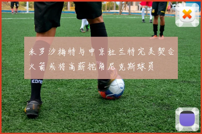 米罗沙梅特与申京杜兰特完美契合火箭或将高薪挖角尼克斯球员