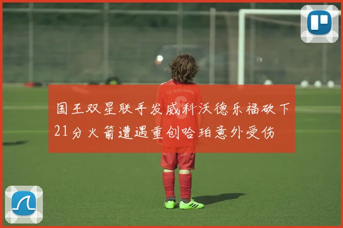 国王双星联手发威科沃德乐福砍下21分火箭遭遇重创哈珀意外受伤