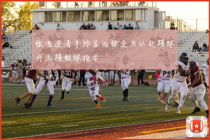 张浩澄清李帅言论称全力以赴踢球并无踢假球指示
