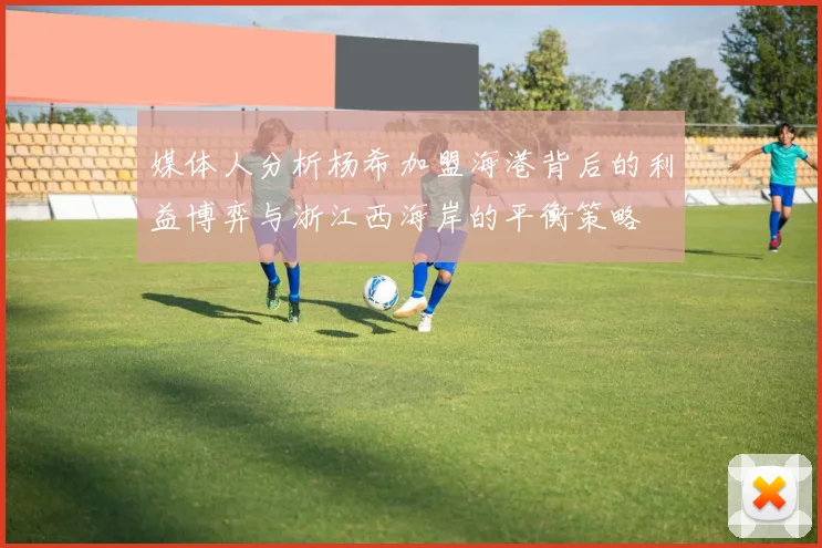 媒体人分析杨希加盟海港背后的利益博弈与浙江西海岸的平衡策略